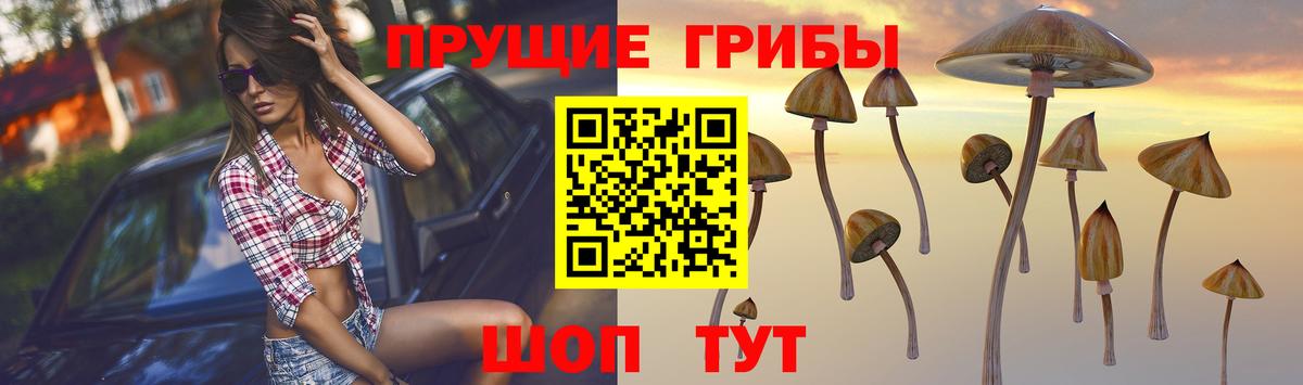Псилоцибиновые грибы Cubensis  Галлюциногенные грибы мицелий  Вход с VPN  цена наркотик  Тында 